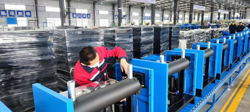 最強(qiáng)考察團(tuán) 第四天,安遠(yuǎn)尋烏接受檢閱